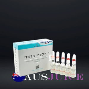 testo prop 1